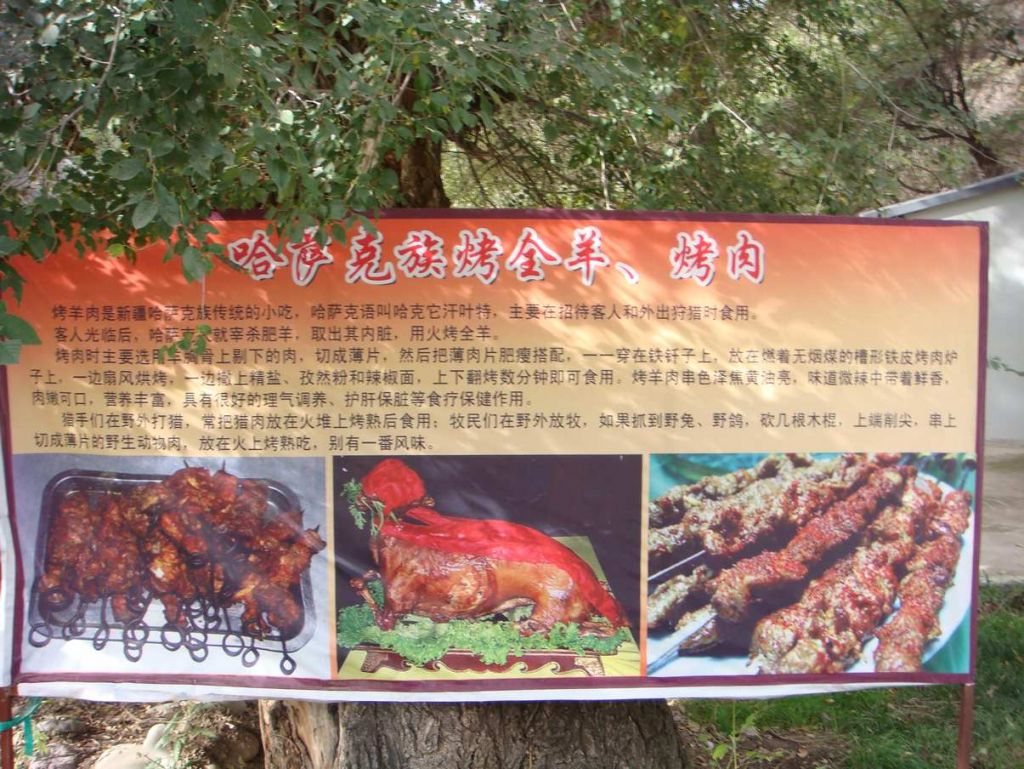 DSC02496.jpg