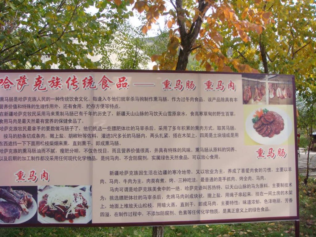 DSC02497.jpg