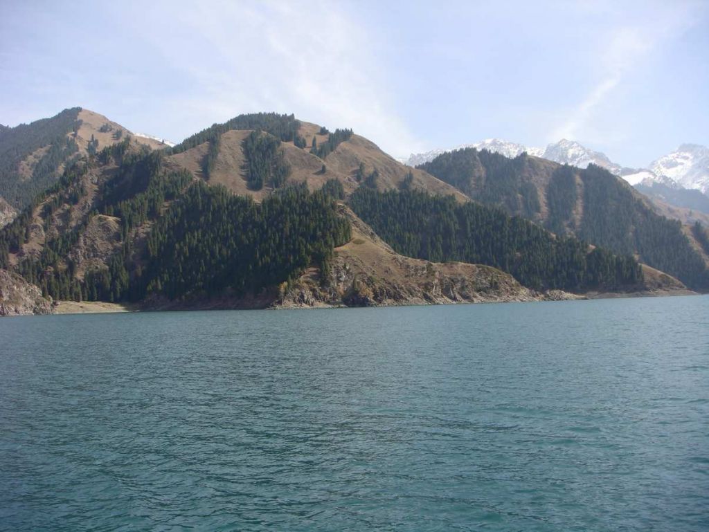 DSC02603.jpg