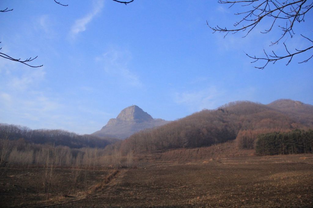 IMG_1984.jpg