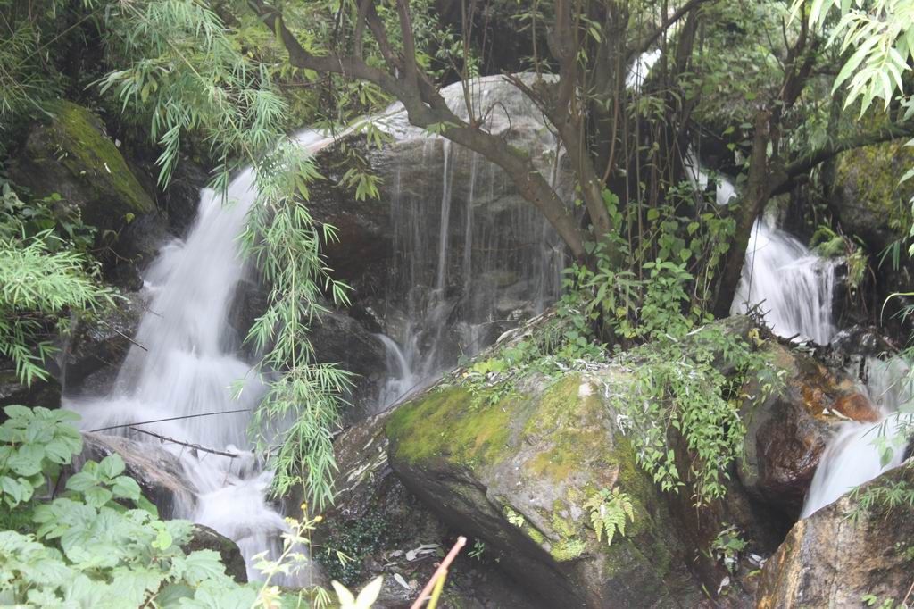 ������С IMG_1309.JPG