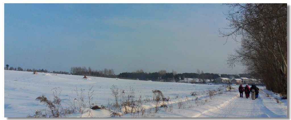 SDC13195.jpg
