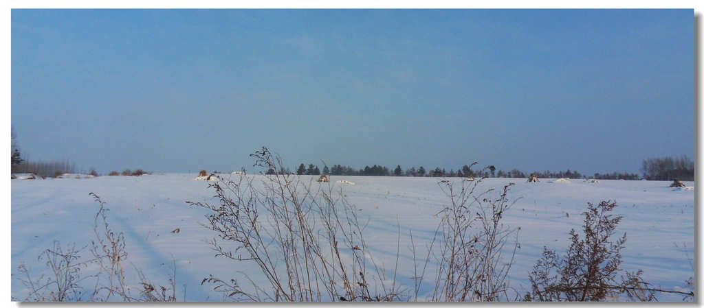 SDC13196.jpg