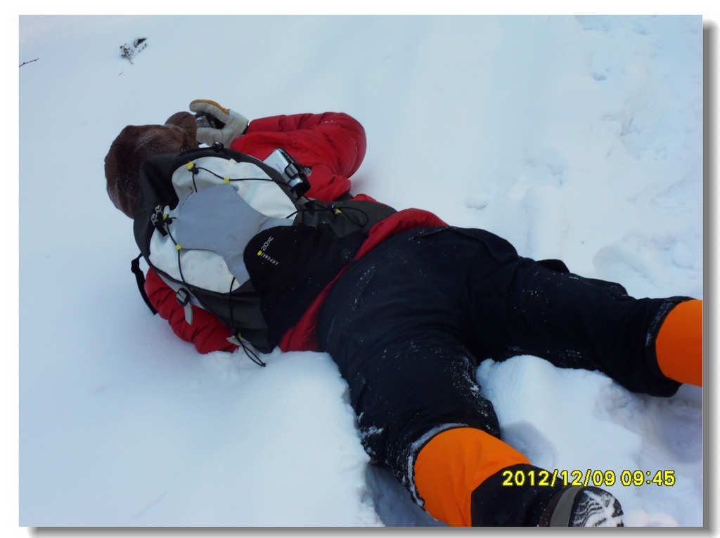 SDC13253.jpg