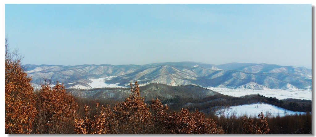 SDC13285.jpg