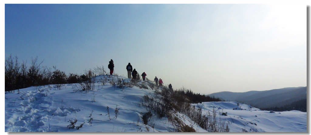 SDC13277.jpg