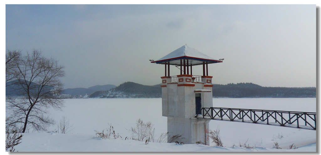 SDC13411.jpg