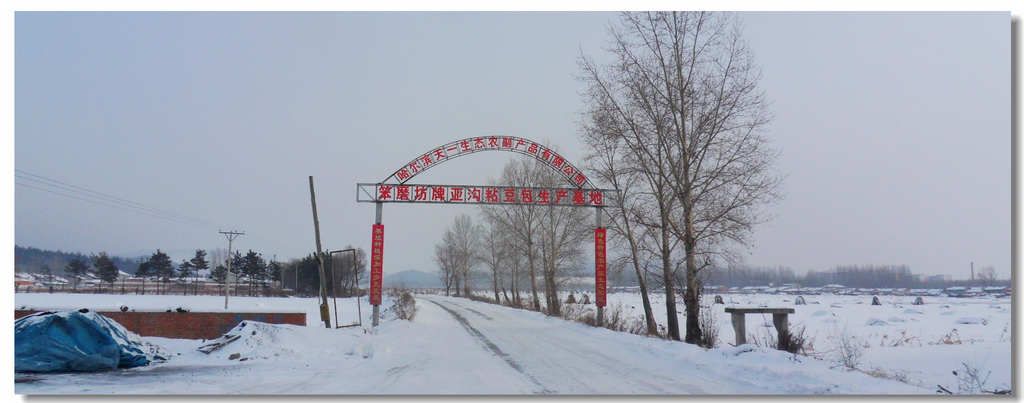 SDC13416.jpg