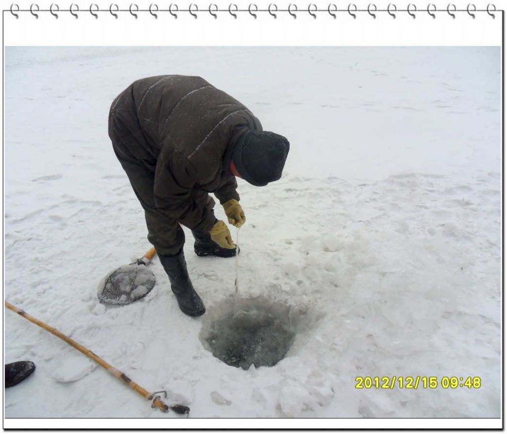 SDC13188.jpg