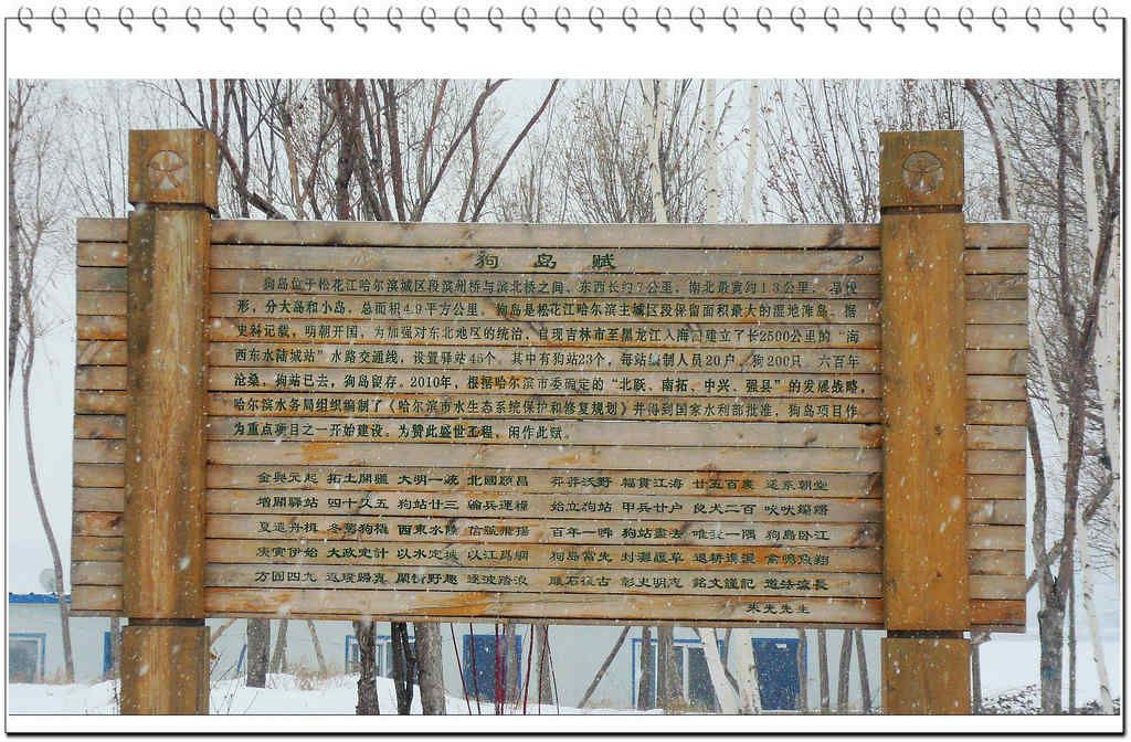 SDC13199.jpg