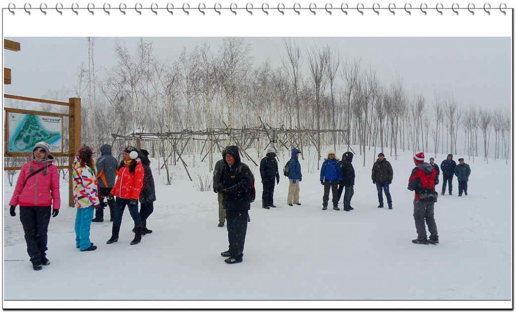SDC13209.jpg