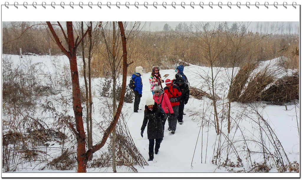 SDC13226.jpg