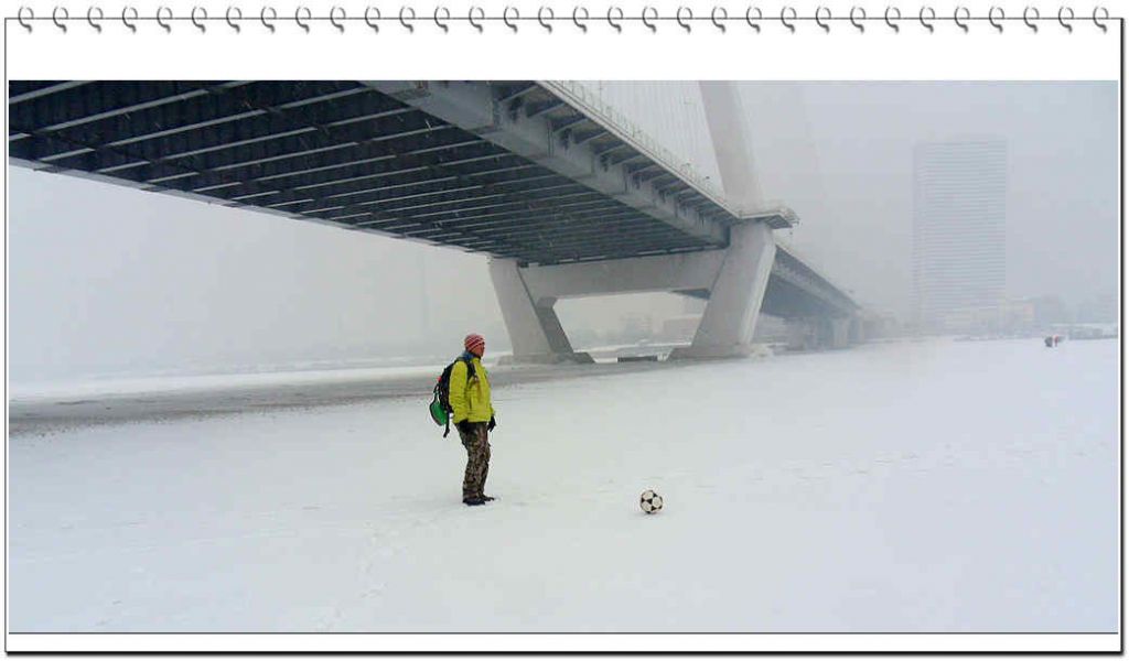 SDC13278.jpg