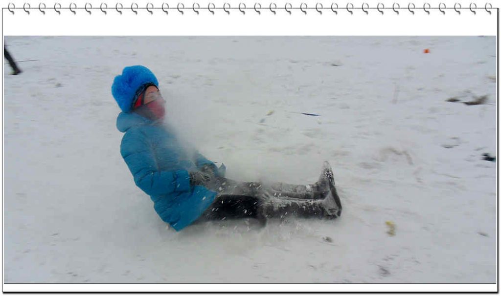 SDC13333.jpg