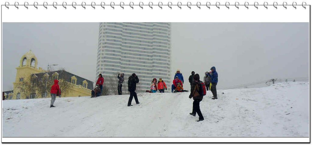 SDC13343.jpg