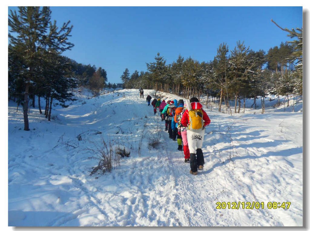 SDC13183.jpg