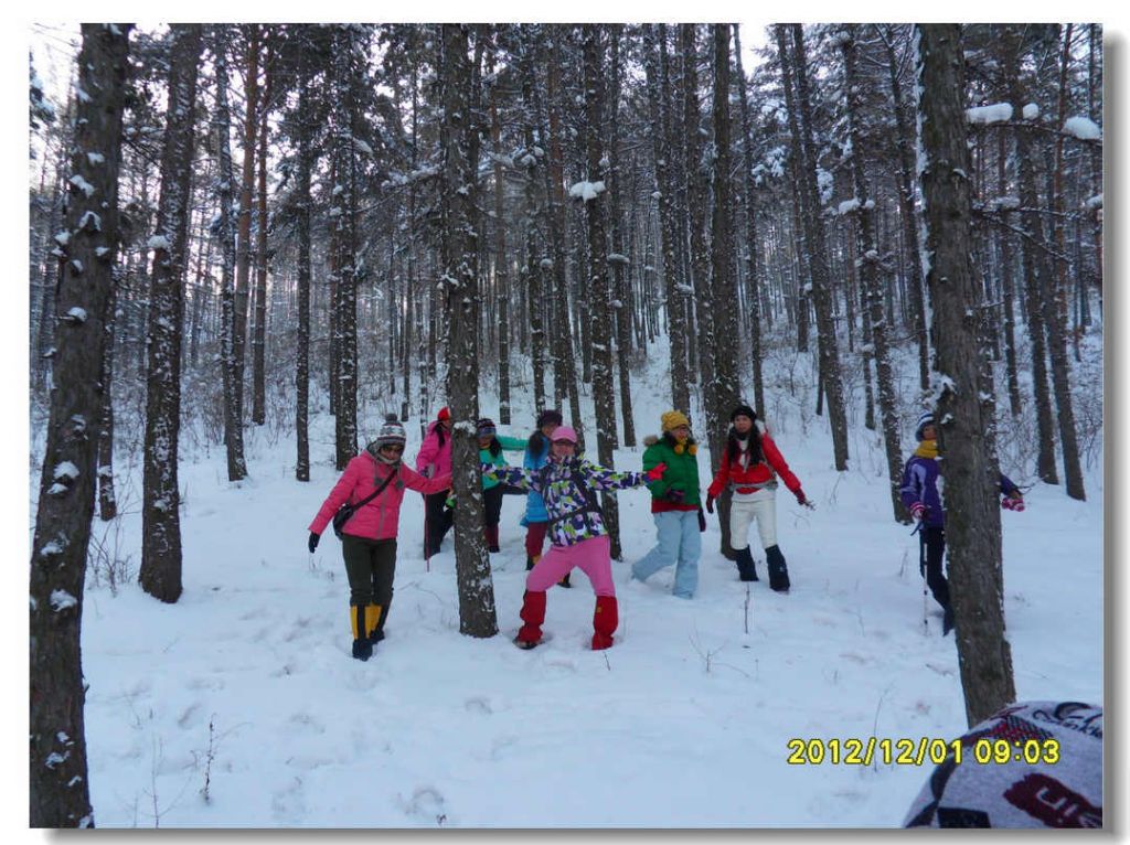 SDC13219.jpg