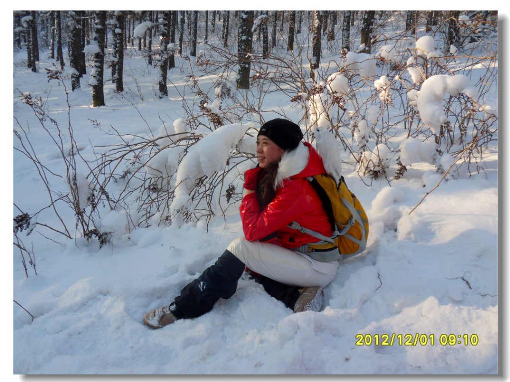 SDC13232.jpg