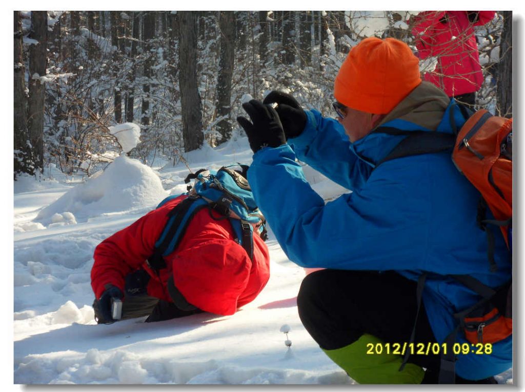 SDC13267.jpg