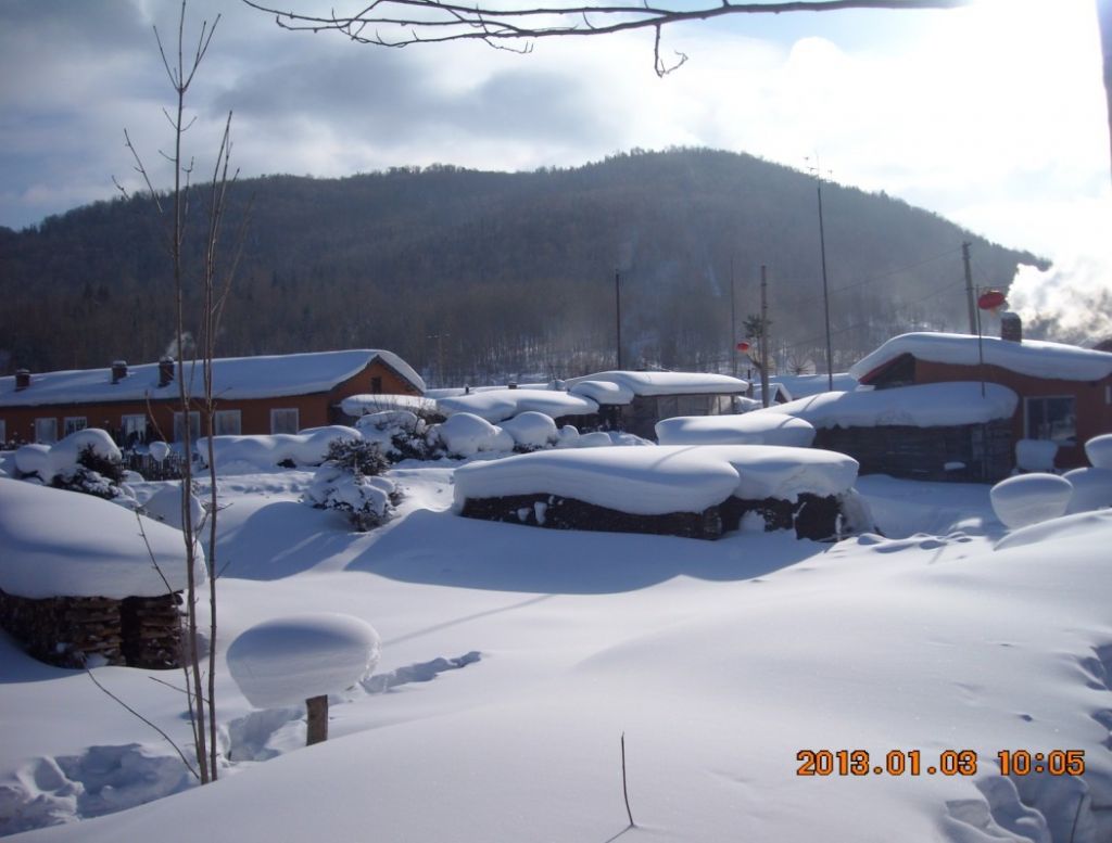01.jpg