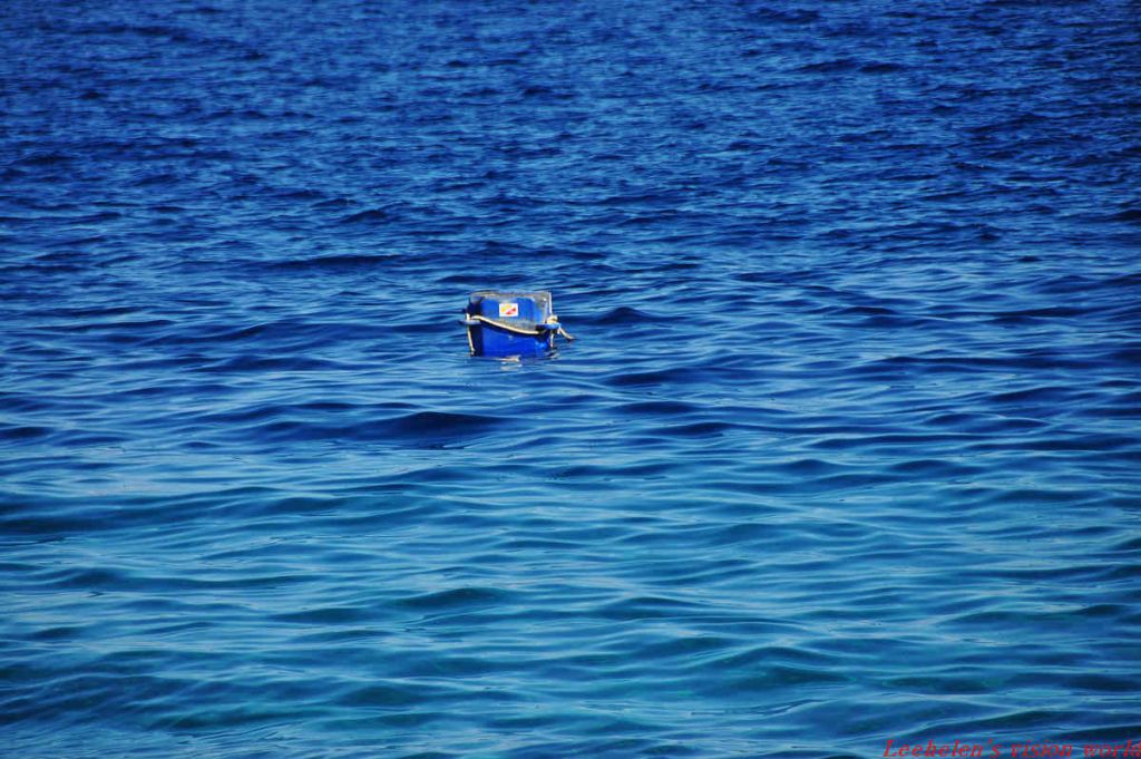 DSC_0398.jpg