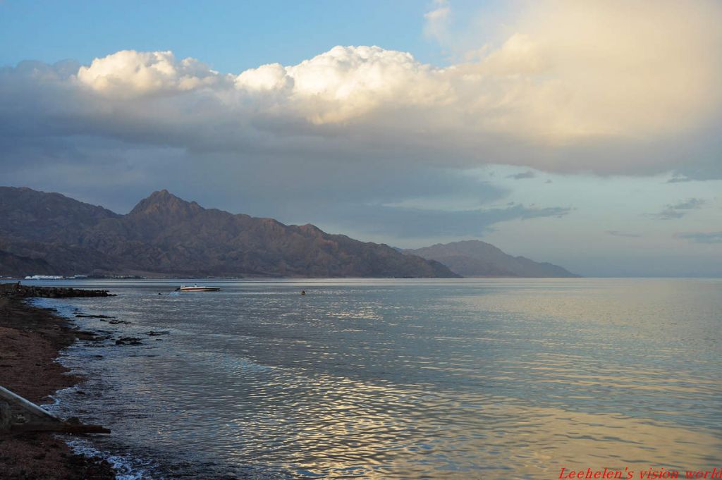 DSC_0454.jpg