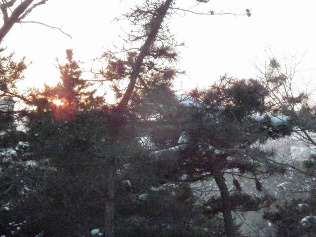DSCF2103.JPG