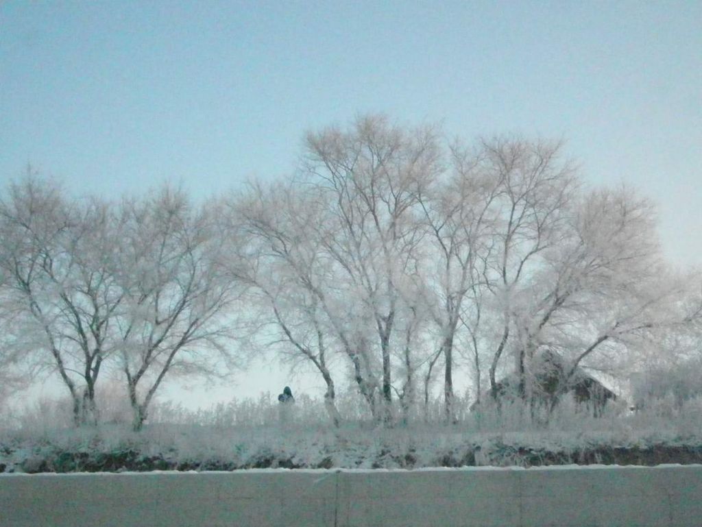 DSCF2377.JPG