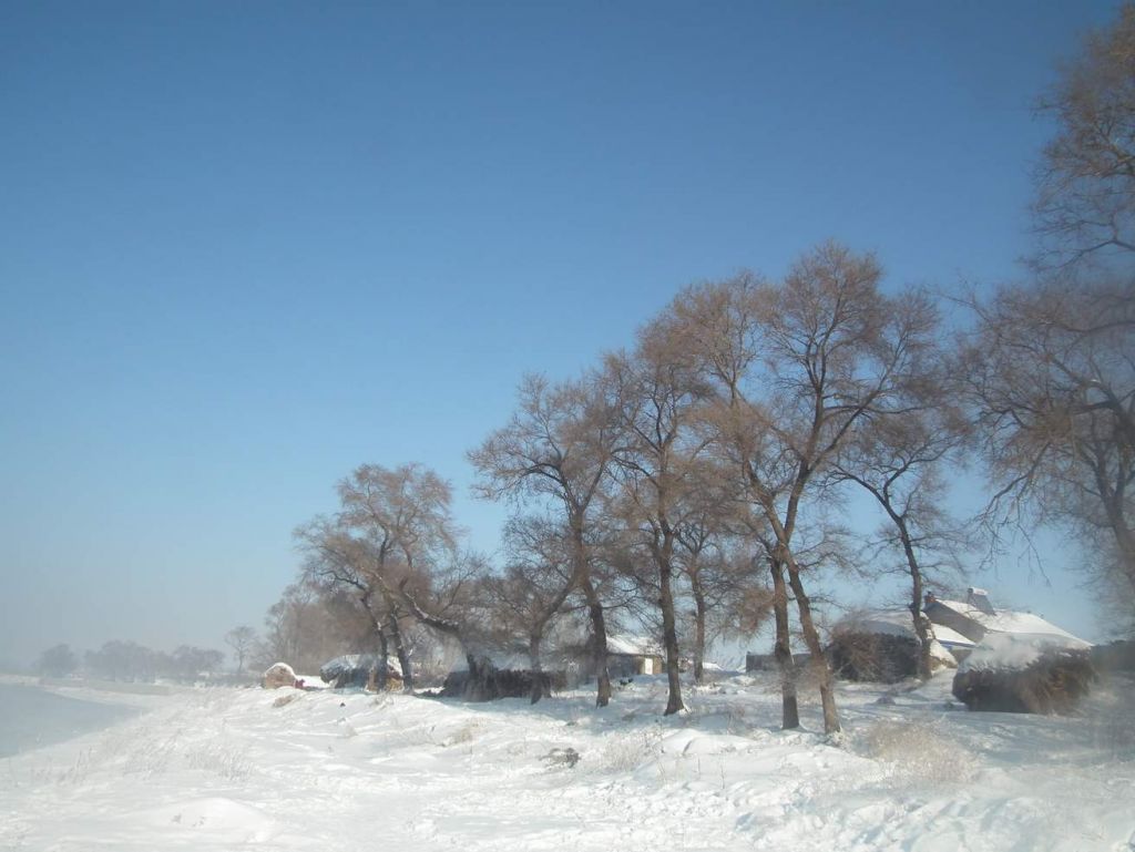 DSCF2520.JPG