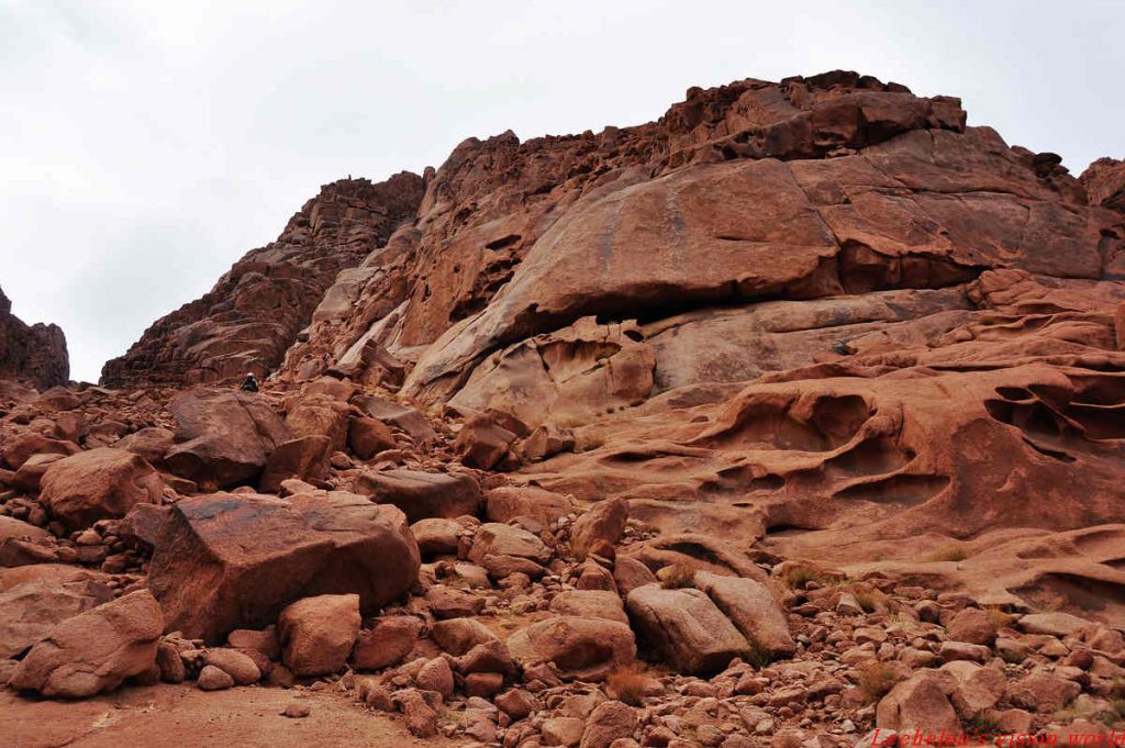 ���� DSC_0830.jpg