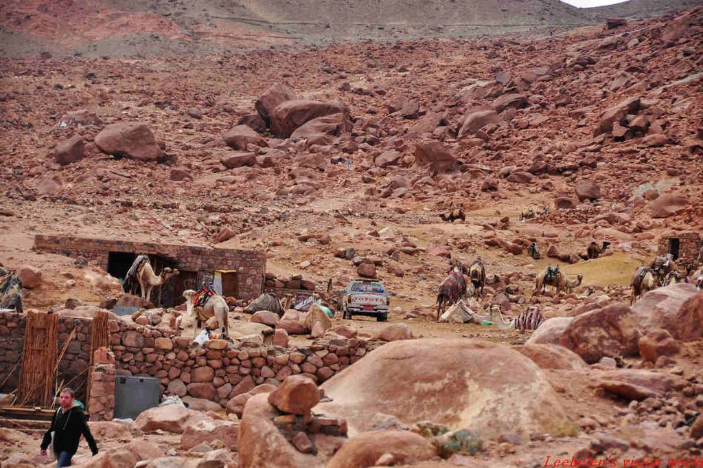 ���� DSC_0836.jpg