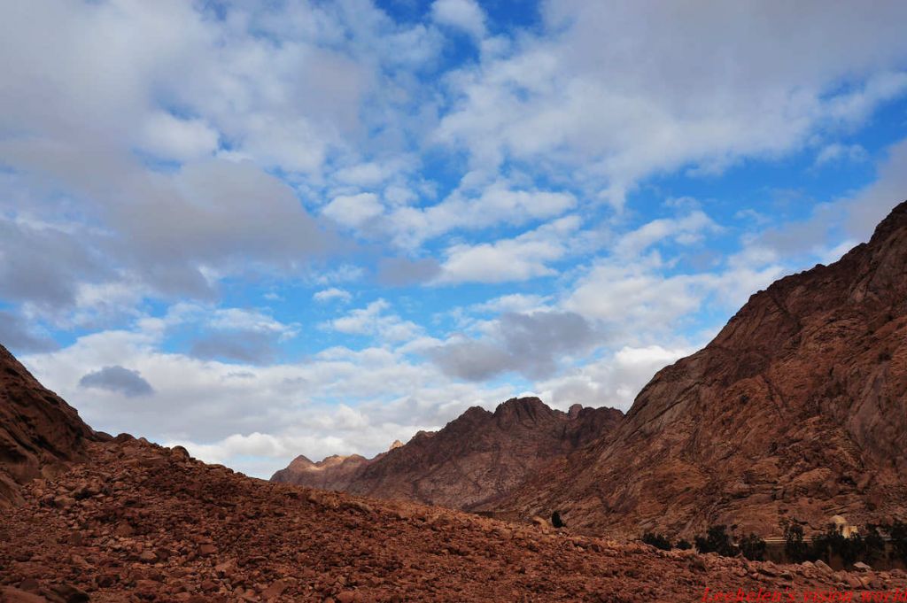 ���� DSC_0831.jpg