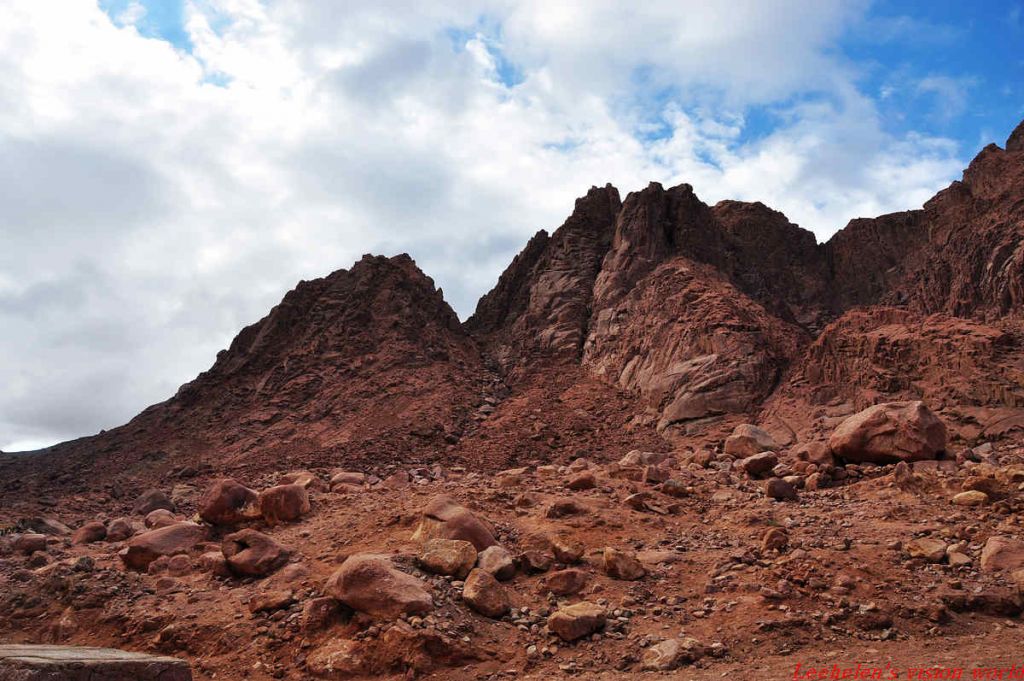 ���� DSC_0835.jpg