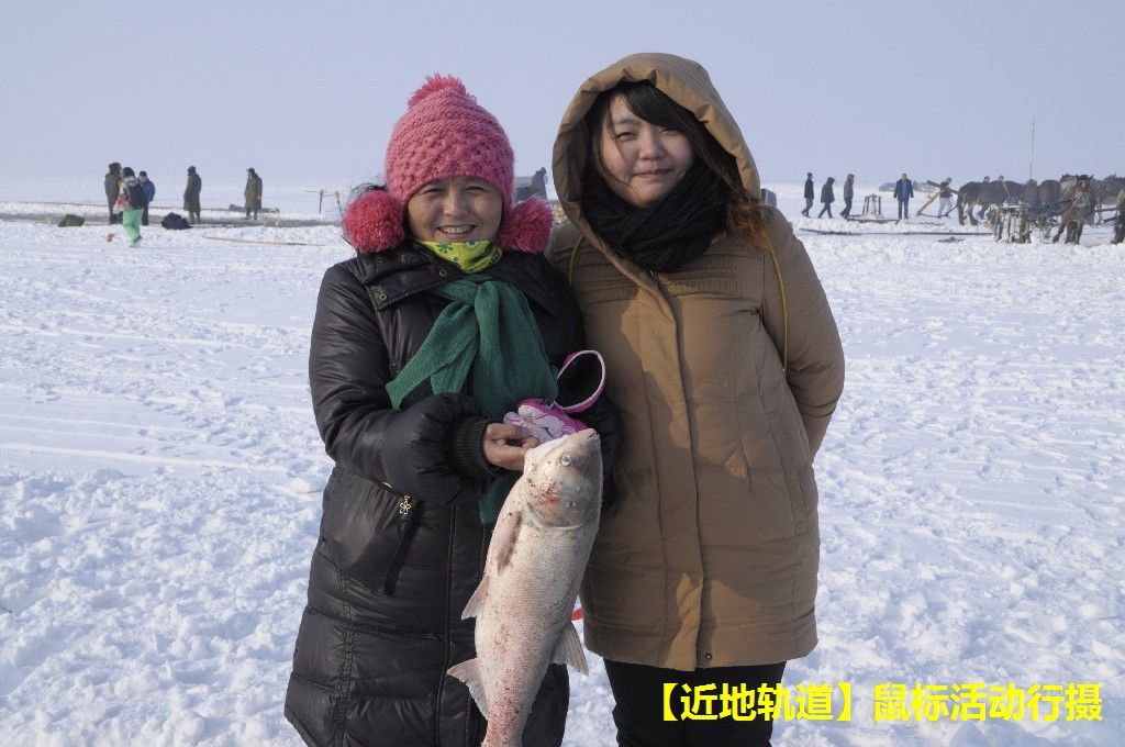BigBull_BigBull__DSC0580.JPG