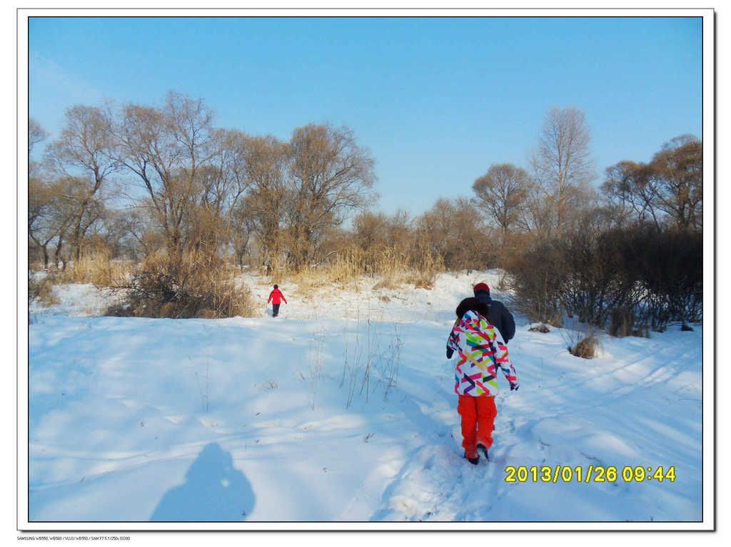 SDC13324.jpg