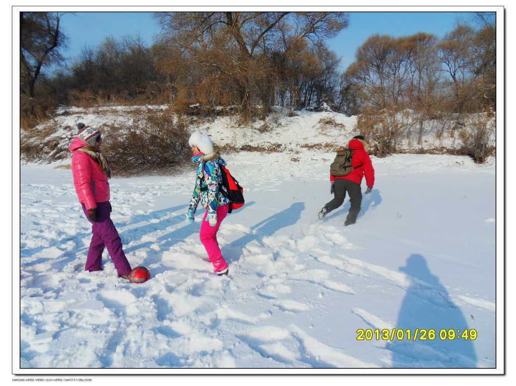 SDC13334.jpg