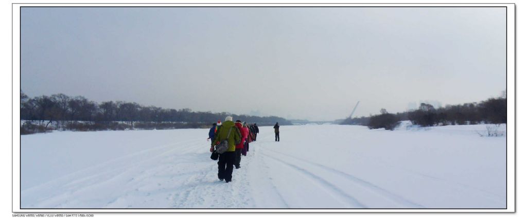 SDC13455.jpg