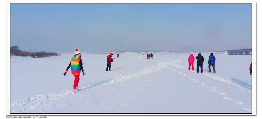 SDC13391.jpg