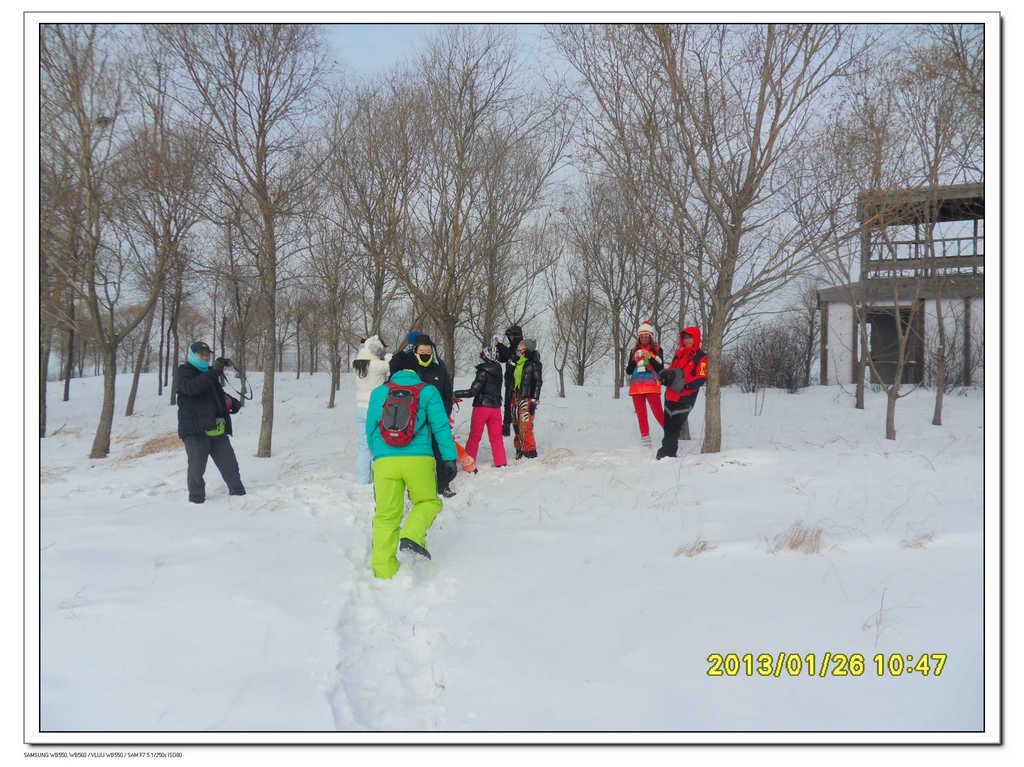 SDC13411.jpg