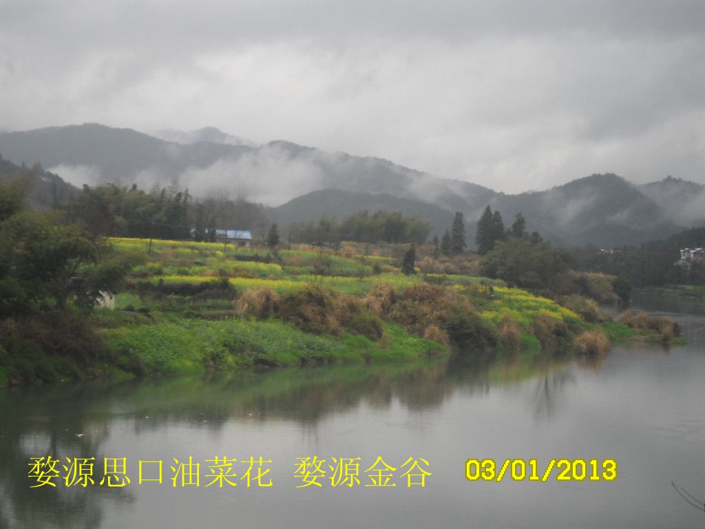 SAM_2633_����.jpg