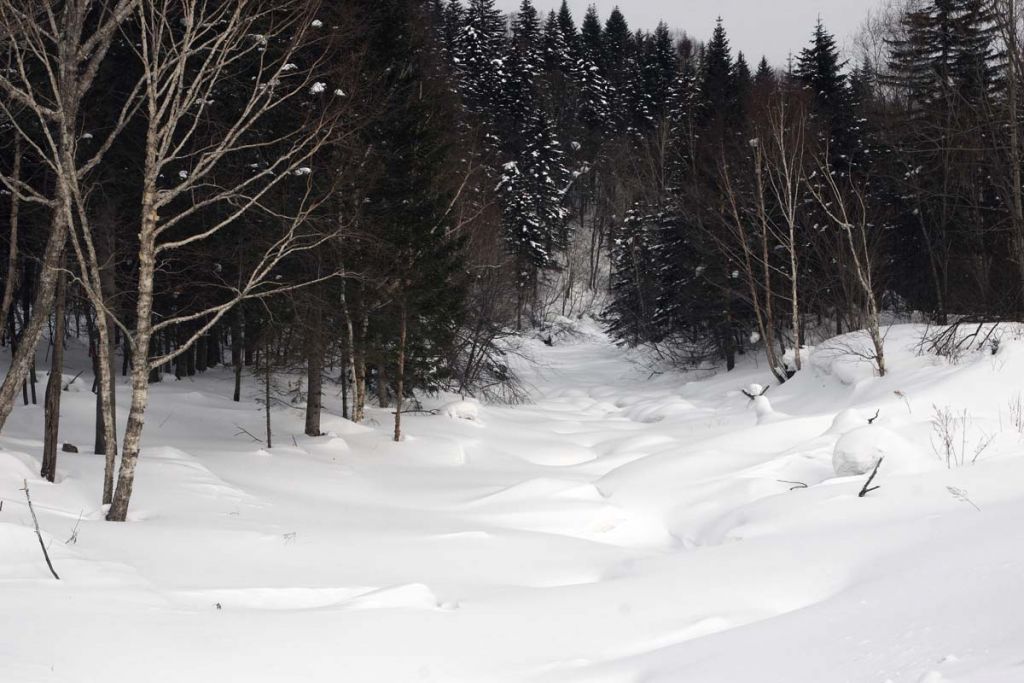 DPP_0844.jpg
