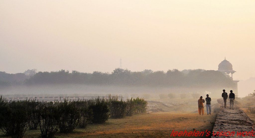 DSC_0918.jpg