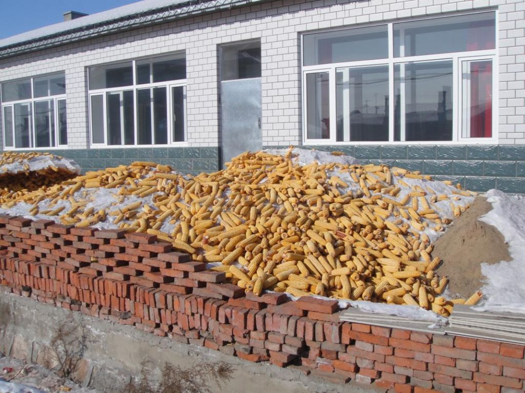 36.jpg