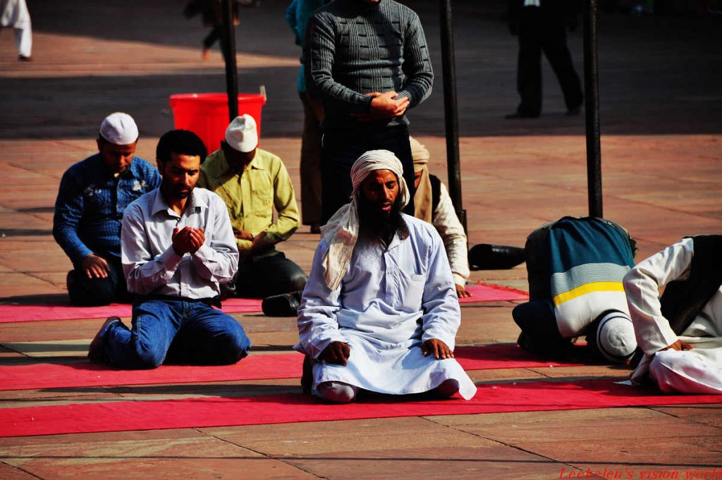 ���� DSC_0031.jpg