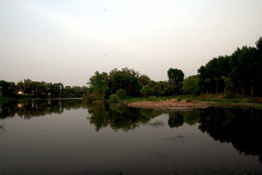 DPP_0004.jpg