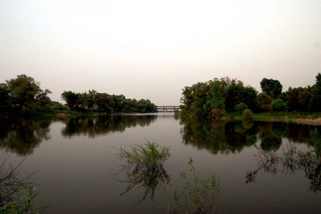 DPP_0008.jpg
