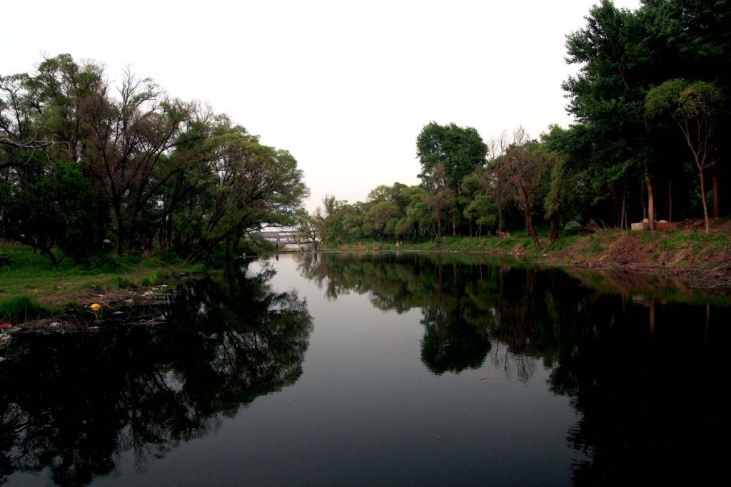 DPP_0029.jpg