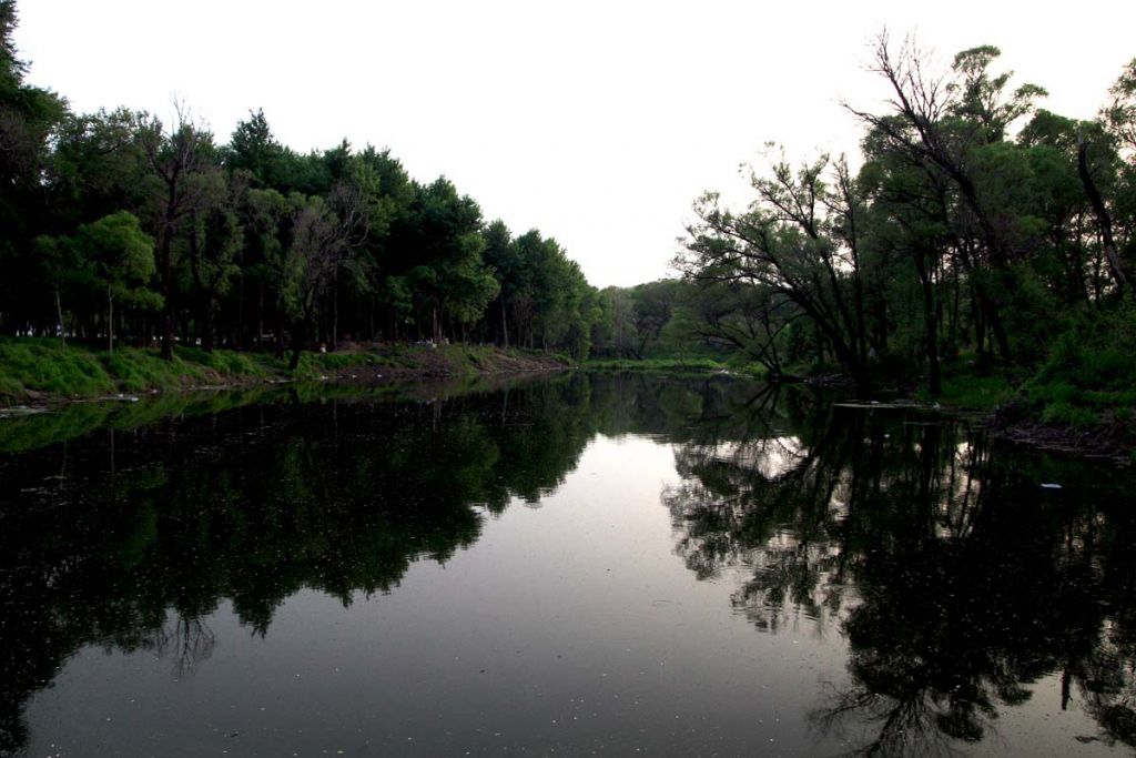 DPP_0038.jpg