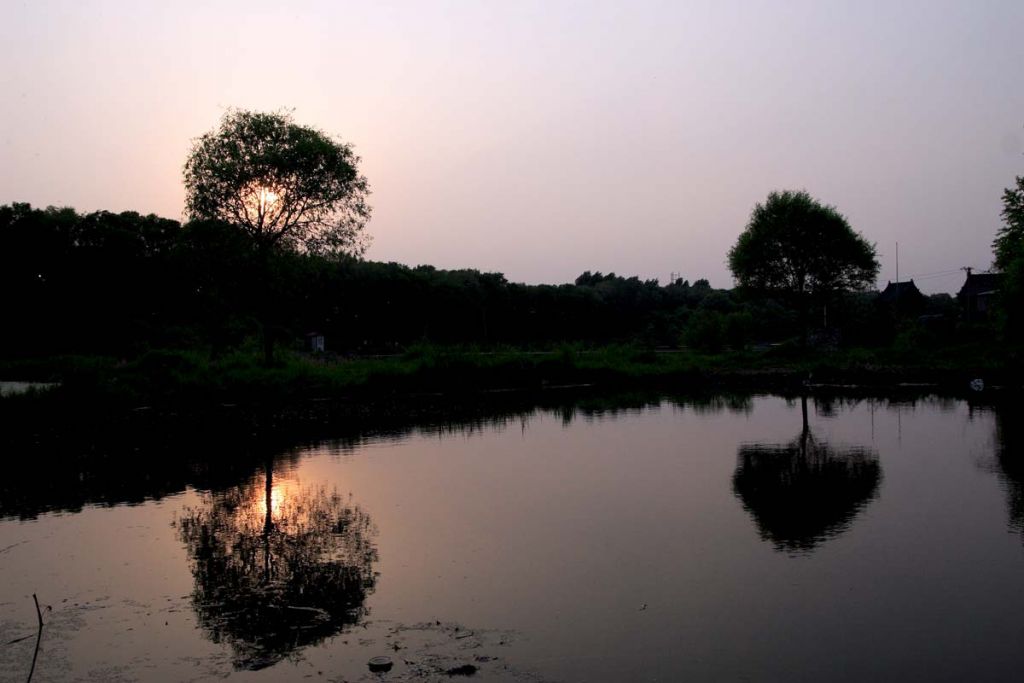 DPP_0063.jpg