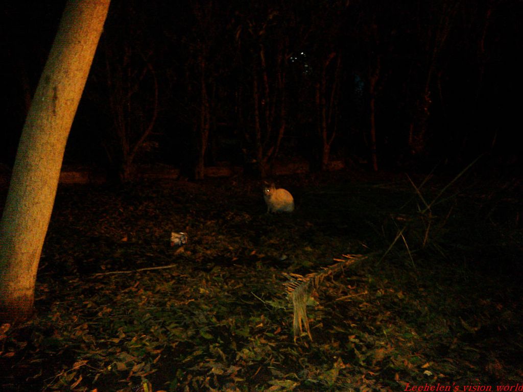 WP_001093.jpg